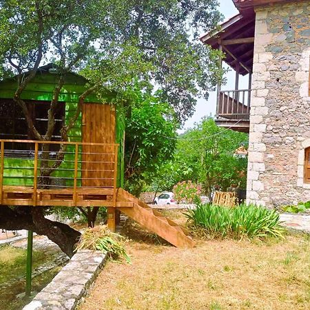 Arcadianis Villa At Psari Trikolonon Gortynia Pszári Kültér fotó