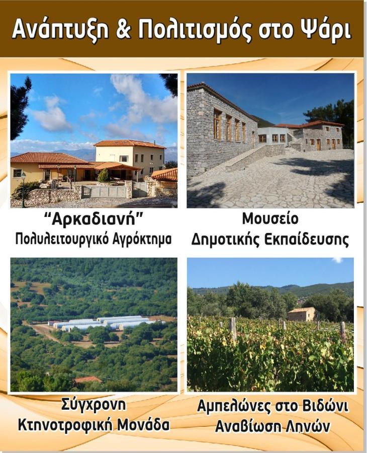 Arcadianis Villa At Psari Trikolonon Gortynia Pszári Kültér fotó